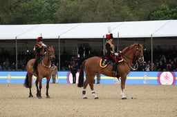 The King's Troop