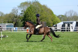 M19_0435 2026