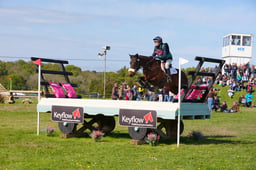 177 LARKSBELLE