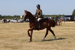 E60_0657 2026