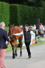 H39_6191 2026