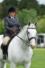 33 SEIB SFAS HOYS  Ridden Hunters
