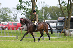 C34_1647 2026
