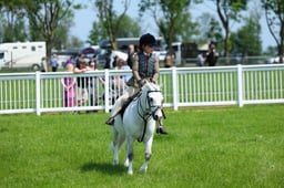 F33_0678 2026