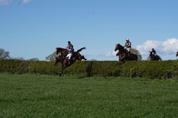 Hunt Scurry