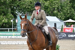 Working Hunter Lightweights