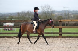 CL78 Novice Ridden Pony