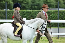 H1A HOYS Welsh Lead Rein