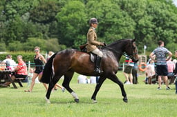 H36_8043 2026