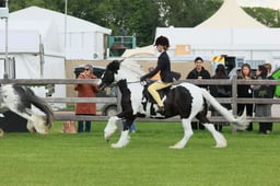 S28_7153 2026