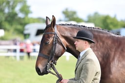 H118-114 HUNTER IN HAND CHAMPIONSHIP