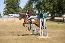 376 MR HARRY HOUDINI