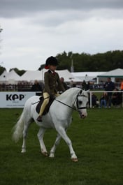 E30_4500 2026