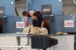 C68_3301 2026