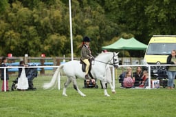 E30_4683 2026
