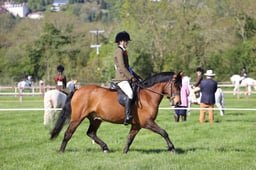 C19_0685 2026