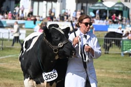 K68_7235 2026