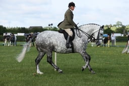 E36_0432 2026