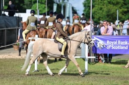 C46_3416 2026