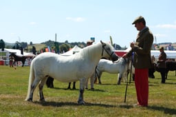 E68_4701 2026