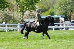 H19_0502 2026