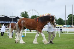 H44_0003 2026
