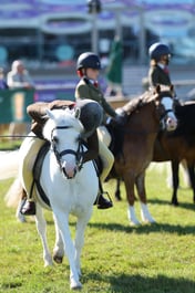 H46_5388 2026