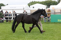 W29_0646 2026