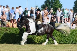 S61_0576 2026