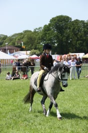 E33_5070 2026