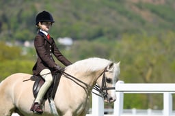 H19_0540 2026