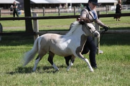 M42_4697 2026