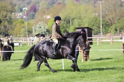 C19_0465 2026