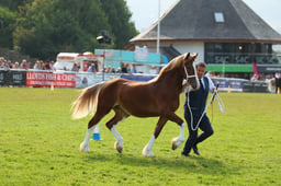 E69_0599 2026