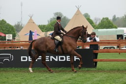 27-26 Amateur Hunter Championship