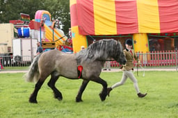 E34_3025 2026