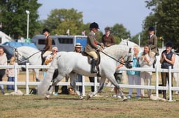 E66_4262 2026