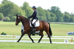 B20_4976 2026
