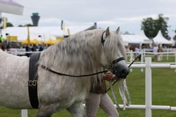 M44_0158 2026
