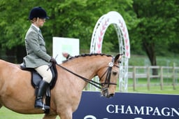 CL 14C Senior Plus Pony