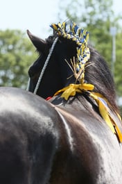E33_4665 2026