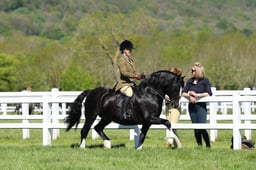 H19_0371 2026