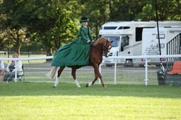 107 JNR Concours Ridden Pony