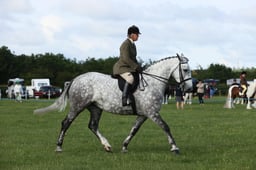 E36_0395 2026