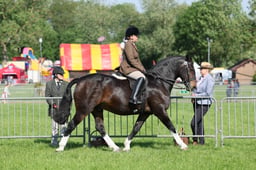 C33_0617 2026