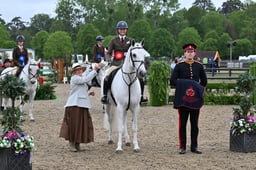 Working Hunter Pony Championship