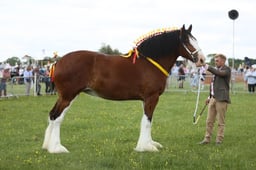 E36_1254 2026