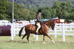 E42_0320 2026