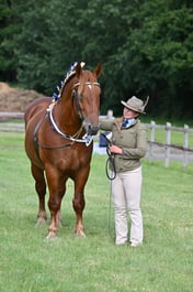 Ledbury Ring B