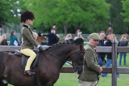 131 Lead Rein Pony of Hunter Type